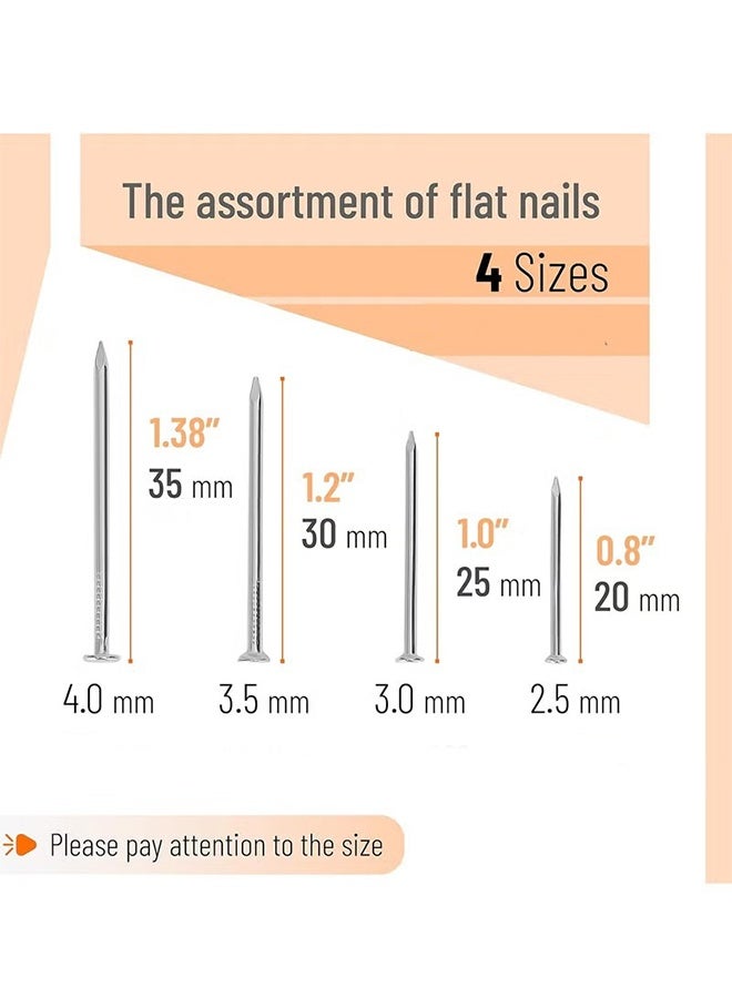 واي جيه عدة مسامير متنوعة، 200 قطعة، 4 مقاسات، فضية، مسامير صغيرة لتعليق الصور، مسامير تشطيب، مسامير حائط ذهبية للتعليق، مسامير دبوس، مسامير معدات، مسامير متنوعة، مسامير مجلفنة - Image 2